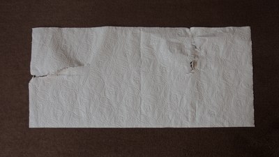Despite being thin and soft, this paper towel displays strong grain, and is much more difficult to tear along cross direction than along machine direction