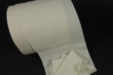 Toilet Paper Hedgehog