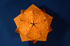 Hydrangea Icosahedron