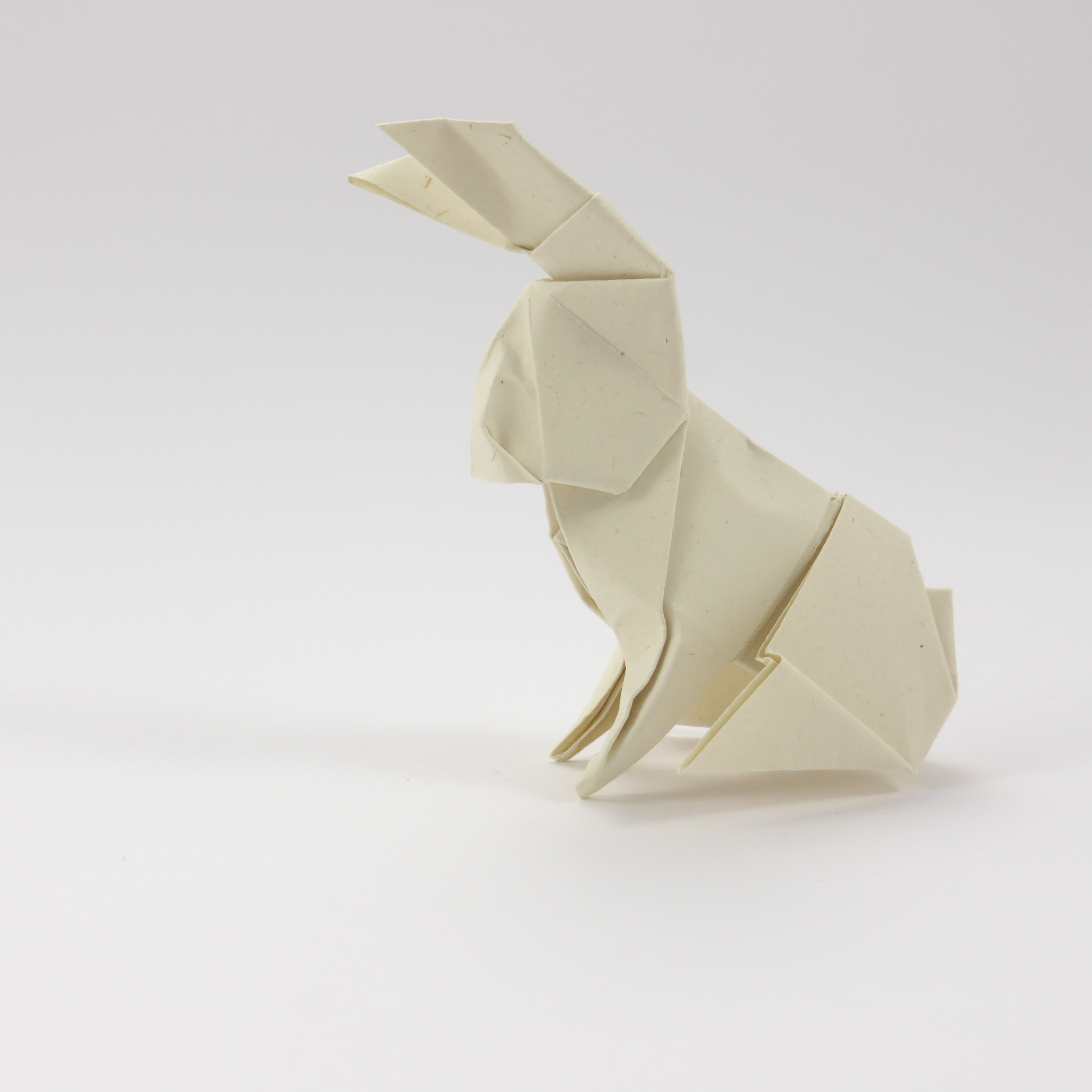 Dollar Bill Hare - Origami by Michał Kosmulski