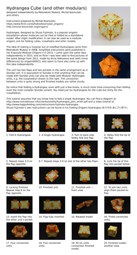 Hydrangea Cube instructions (PNG)