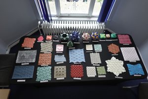 My exhibition at the BOS Autumn Convention Nottingham 2026, first table