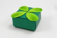 Box with Leaves (tip-to-tip, 32 divisions)