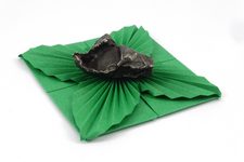 Origami Coaster with Leaves (Stem-to-Stem)