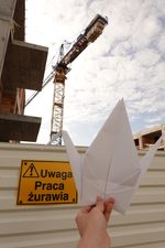 Traditional Crane (another big fold)
