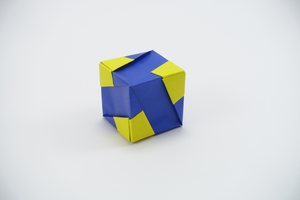 Cube made from the unit