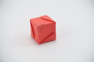 Cube made from the unit