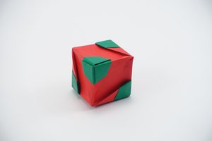 Cube made from the unit