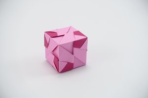 Cube made from the unit