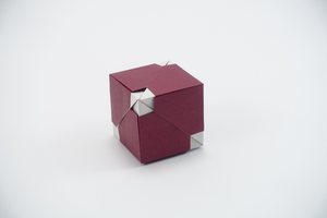 Cube made from the unit