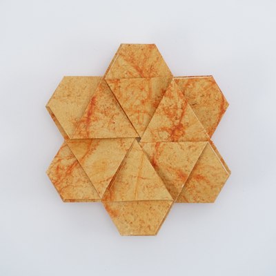 Daffodil Variant C, CFW 410 (Shuzo Fujimoto), back