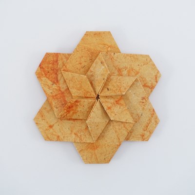 Daffodil Variant C, CFW 410 (Shuzo Fujimoto), front