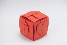 Heart, Ladybug, and Mushroom on BBU Cube