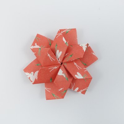 Hex Twist Star, CFW 123 (Shuzo Fujimoto), front