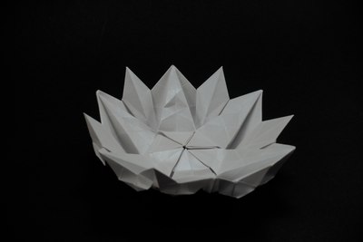 Lotus, CFW 145 (Shuzo Fujimoto), oblique view