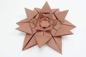 Oblique view of back