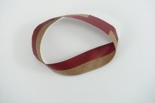 Möbius Strip VII (variant A)