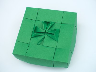 Shamrock 1.1 Box (Michał Kosmulski)