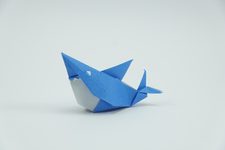Shark